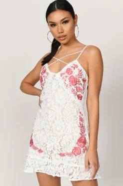 Tobi Avery Lace Embroidered Mini Dress - Nude