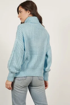 Tobi Cold Waters Turtleneck Sweater -