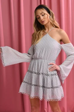 Tobi Fiona Dotted Lace Skater Mini Dress -