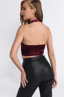 Tobi Higher Ground Crop Top - Blush