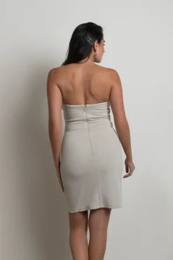 Tobi Kai Plunging Bodycon Mini Dress -