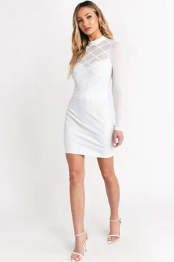 Tobi Know Better Mesh Bodycon Mini Dress -