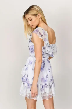 Tobi Marion Floral Skater Mini Dress -