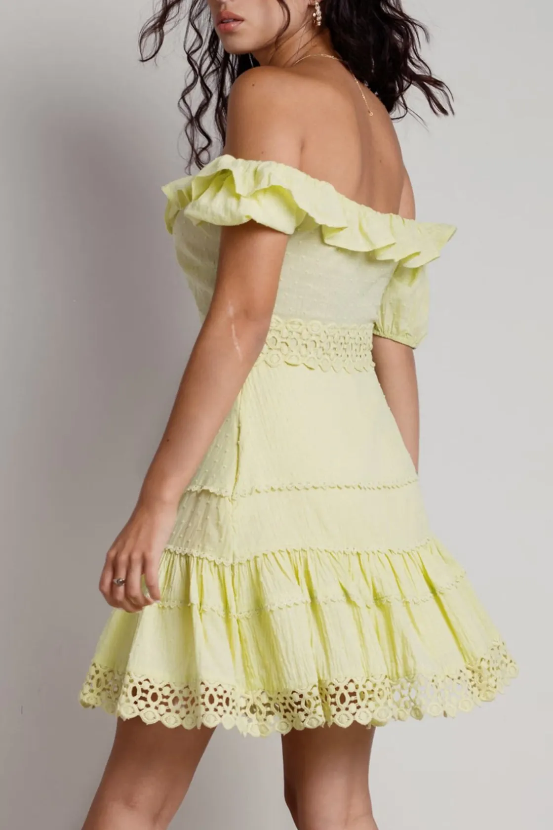Tobi Meadow Swiss Dot Skater Mini Dress -