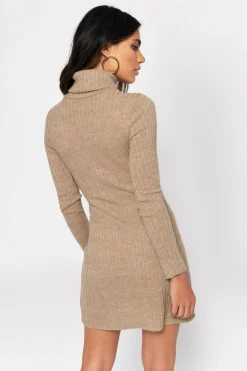 Tobi Misunderstood Ribbed Turtleneck Mini Dress -