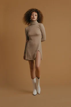 Tobi Misunderstood Ribbed Turtleneck Mini Dress -