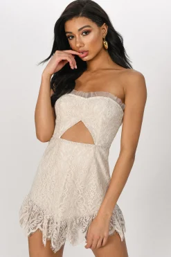 Tobi Moment Like This Lace Strapless Mini Dress -