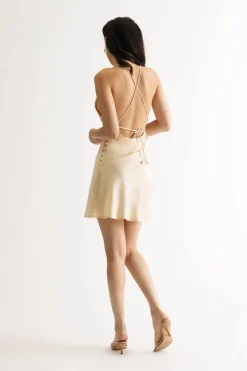 Tobi Reiya Satin Skater Mini Dress -