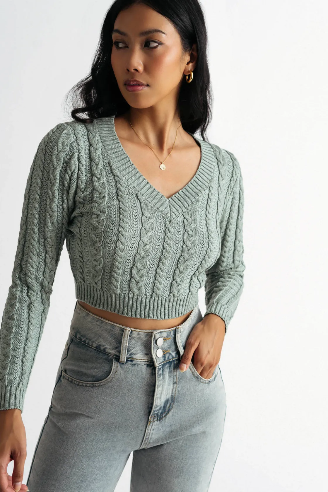 Tobi Sammie Cable Knit Sweater -
