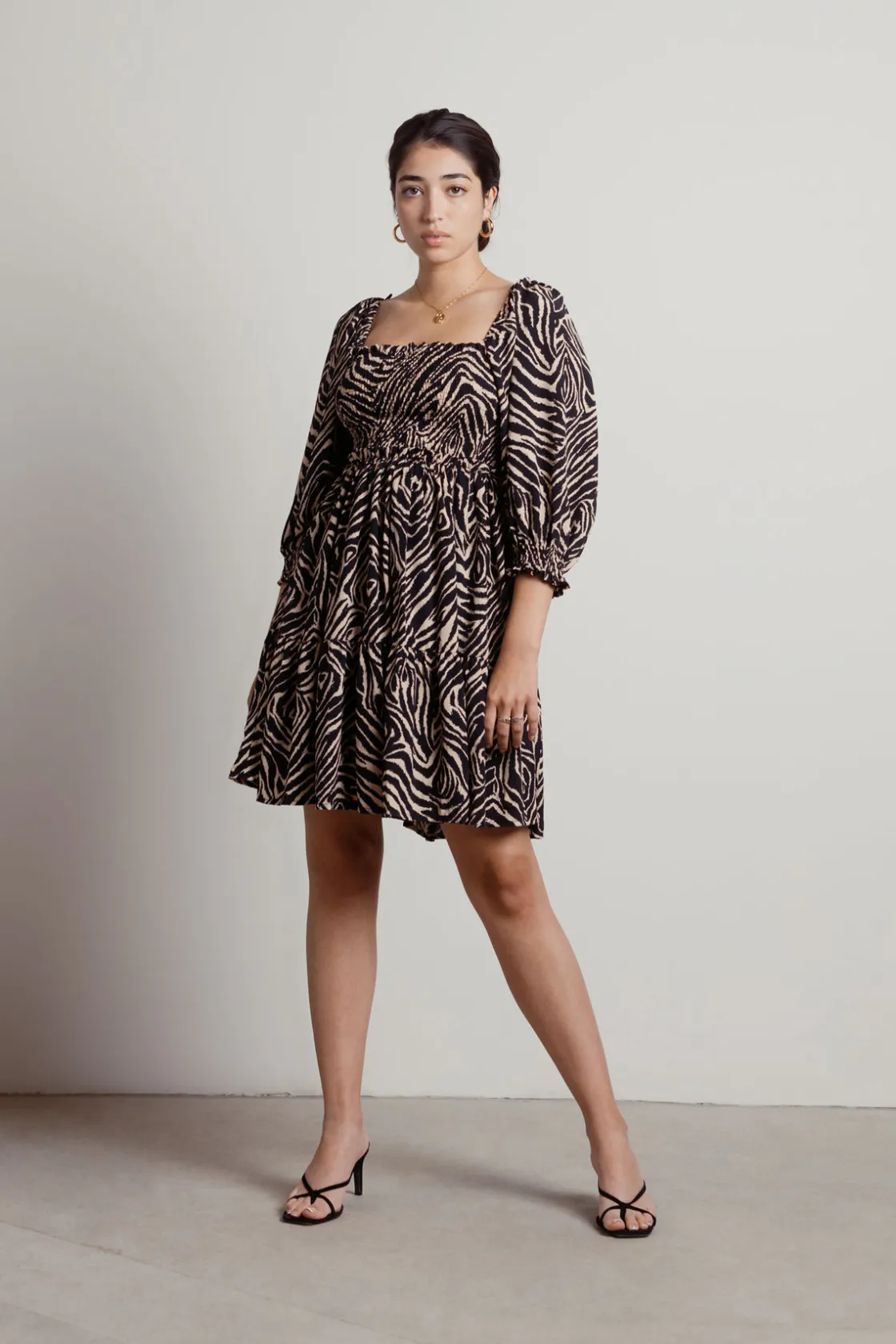 Tobi Savana Zebra Print Skater Mini Dress -