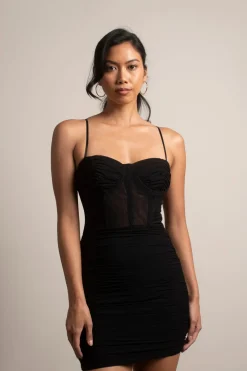 Tobi Showstopper Mesh Corset Mini Dress -