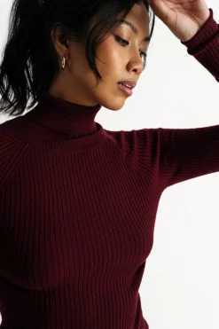 Tobi Stick Around Turtleneck Sweater - Dark Red