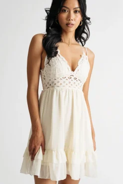 Tobi Summer Sweetness Lace Ruffle Skater Mini Dress