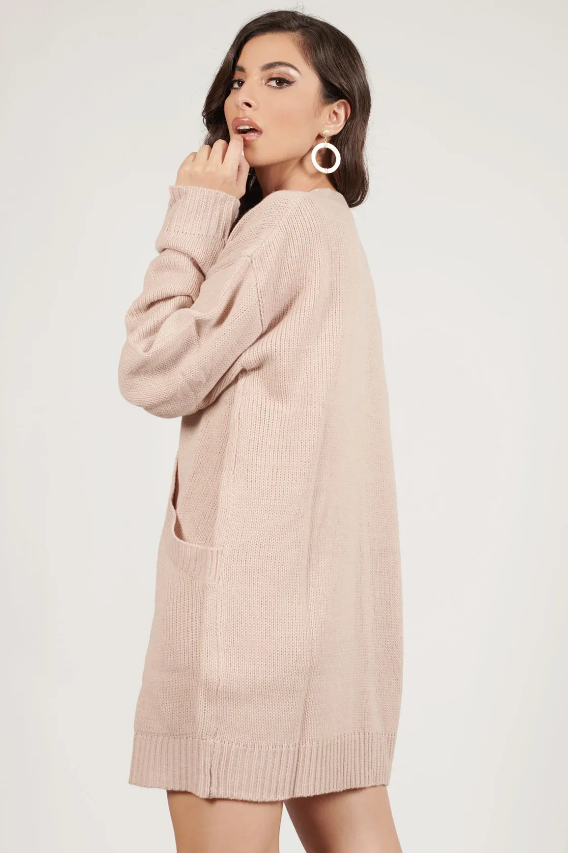 Tobi Winter Romance Oversized Sweater Mini Dress -